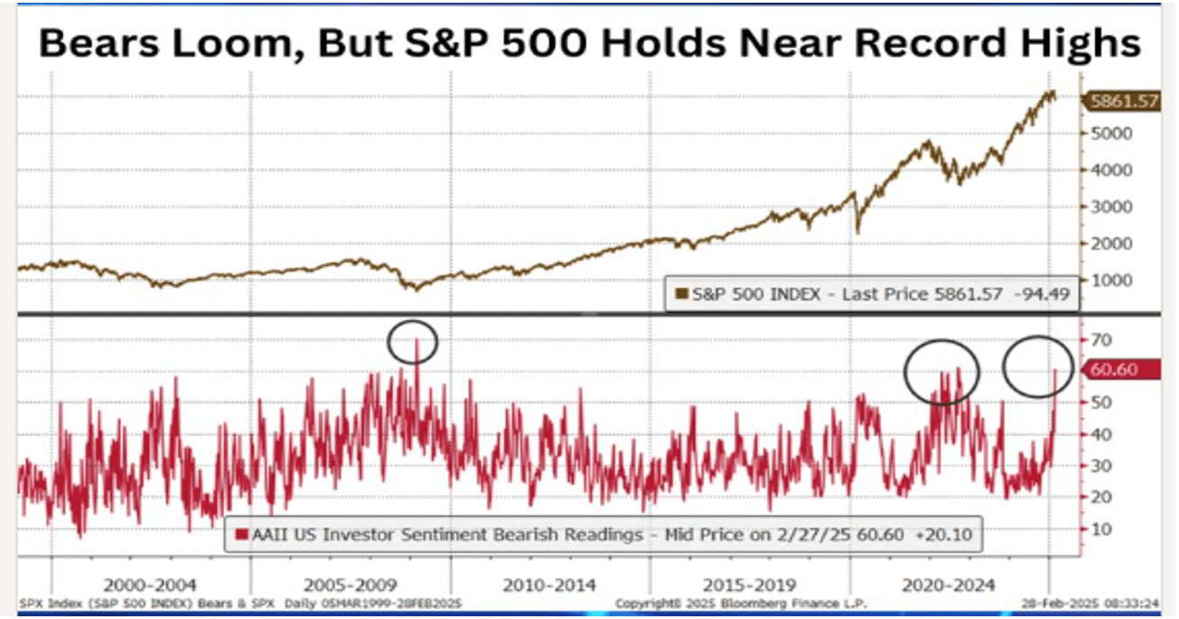 Chart of just the bearish component of AAII hitting highs only seen at the Covid lows and lows in the GFC in 1q2009